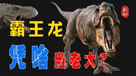 中国十大最厉害的恐龙排名，东方最猛的恐龙
