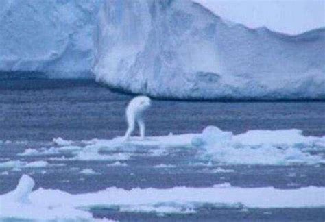 南极未解之谜之神秘的“南极人造人”ningen|南极|人造人|南极洲_新浪新闻
