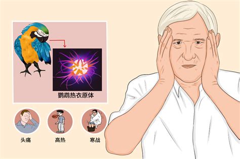 听说过“鹦鹉热”没？扬州一七旬老人因这种病重症呼吸衰竭……_我苏网