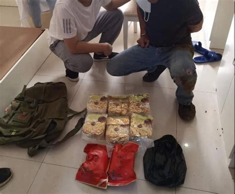公安县成功侦破一起特大贩卖运输毒品团伙案件-新闻中心-荆州新闻网