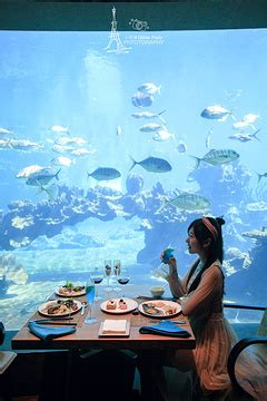 盘点各地海底餐厅：让食客接近海洋是怎样一门生意？|界面新闻 · JMedia