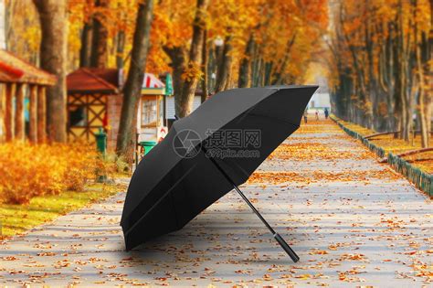 雨伞高清图片下载-正版图片500445768-摄图网