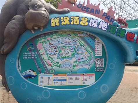 2022武汉海昌极地海洋公园-旅游攻略-门票-地址-问答-游记点评，武汉旅游旅游景点推荐-去哪儿攻略