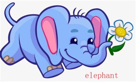 19 大象的耳朵