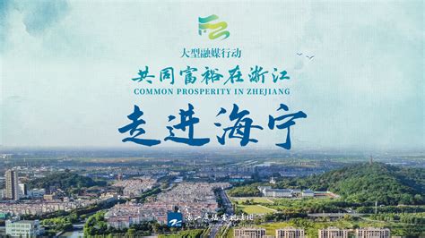 国网浙江电力新一代配电自动化系统在海宁上线