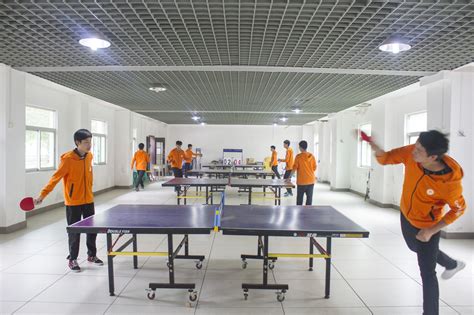 喜报！天河区乒乓球协会荣获第十六届“发展杯”市区乒协组冠军