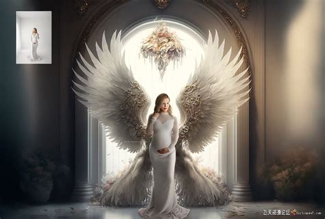 天使之翼,梦幻天使翅膀,孕妇少女写真影楼室内棚拍背景23P-影楼素材-飞天资源论坛