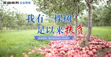 “我有一棵树 长在阿克苏”浙江公益援疆助农行动再次开启-中国网