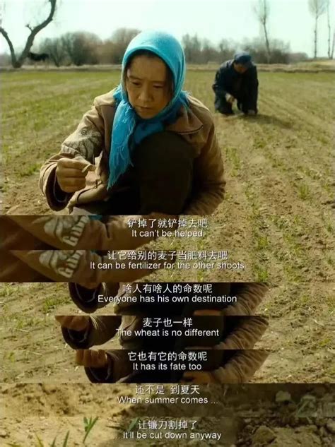 好看的怀旧农村老电影排名 十部农村题材的经典影片(3) - 最新电影 - 领啦网