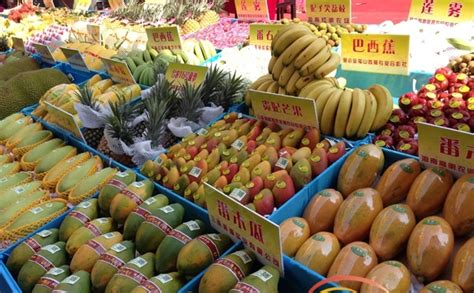 佛山首个一级蔬菜批发市场落户禅城，打造珠西农产品交易枢纽_南方plus_南方+