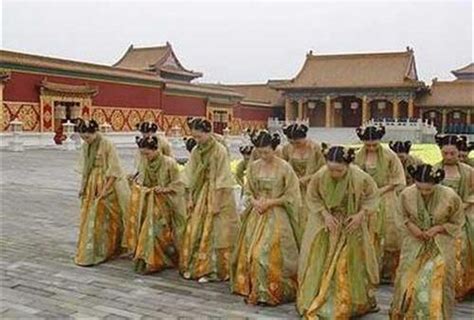 疑似后宫图片