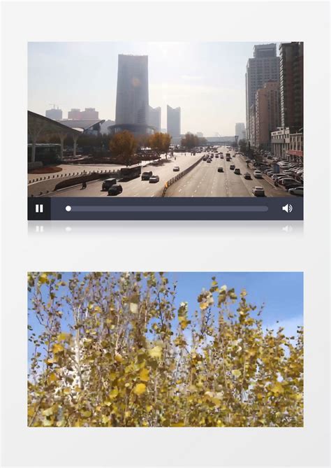 哈尔滨的秋天实拍视频素材模板下载_实拍_图客巴巴