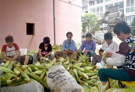 都说农民工辛苦挣钱还不多，却总是下馆子吃饭喝酒，这是为啥？|农民工|吃饭|馆子_新浪新闻