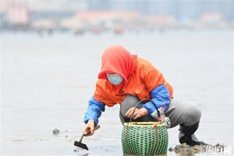 青岛海边有哪些赶海抓螃蟹的地方-旅游官网