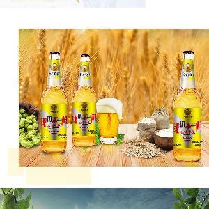 火锅店用酒/玻璃瓶装啤酒供货 山东-食品商务网