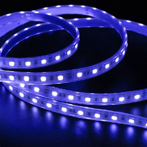 潍坊低压LED灯带-江门市南极光照明科技有限公司