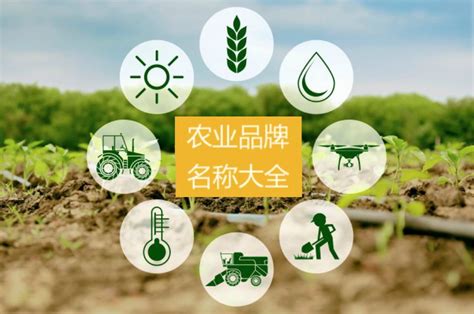 我国农业品牌新标杆！“2021中国农产品百强标志性品牌”重磅揭晓_凤凰网