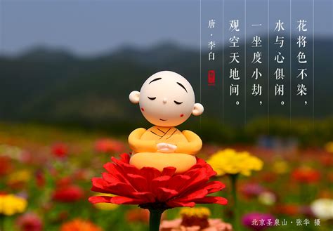贤二图片