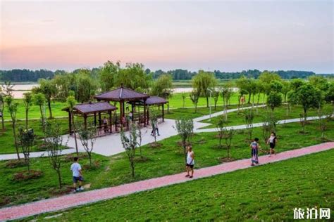 2023月季公园游玩攻略,郑州市月季公园位于嵩山北路...【去哪儿攻略】