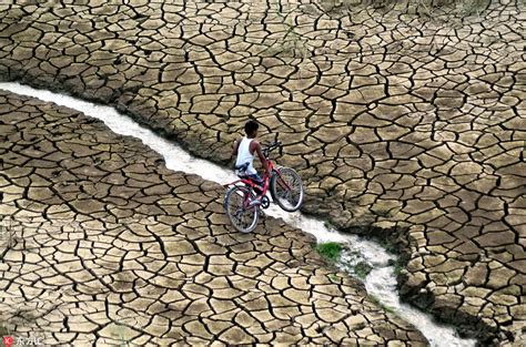 世界水日关注各国缺水现状 土地干涸龟裂触目惊心|阿拉哈巴德|印度|土地_新浪新闻