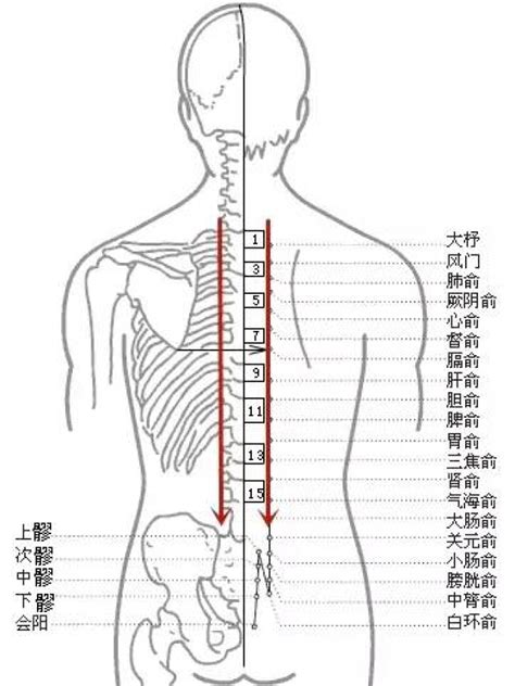 辂车是皇帝乘坐的最高规格的辇车