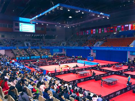【喜讯】七大洲在第二十三届亚洲乒乓球锦标赛完美落幕之际 ...