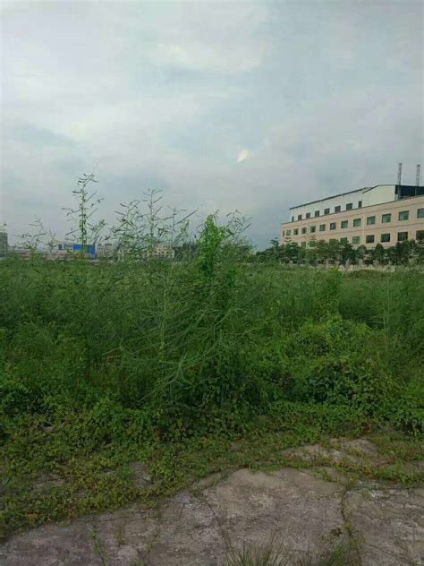 好地网--【1.8挂牌】惠州博罗推出2宗共27亩商住地，分布于石湾镇与罗阳街道，总起价1.15亿元