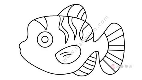 小丑鱼简笔画的画法 小丑鱼简笔画怎么画 - 天奇生活