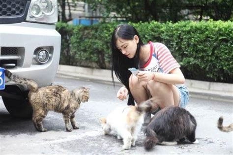 文学院初心志愿者协会事务部开展喂养流浪猫活动-济南大学文学院
