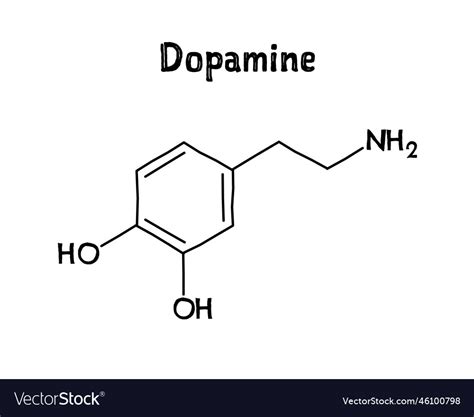 Dopamine Synthesis Pathway