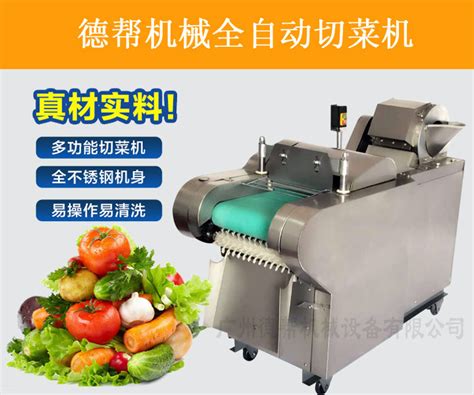 大型自动切菜机TJT-118（大功率食堂加工厂用） - 广州市正盈机械设备有限公司