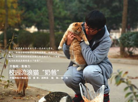 上海静安公园成热门景点，只因有群人在喂流浪猫，大型撸猫现场？|流浪猫|静安公园|景点_新浪新闻
