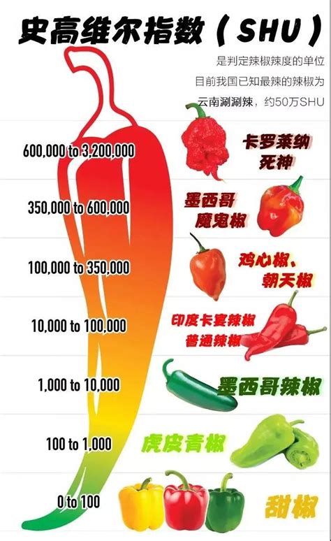 常用辣椒种类辣度和香度介绍,辣椒怎么使用才能发挥它的辣度 - 闪电鸟