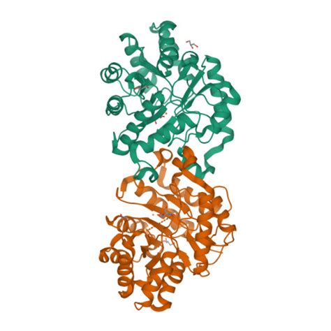 RCSB PDB - 5W3U: Crystal structure of SsoPox AsB5 mutant (V27A-I76T ...