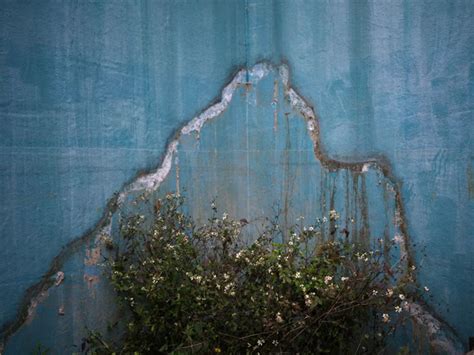 《迷墙——严明个展》：找寻生活和历史的变迁_杭州网
