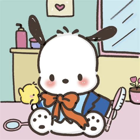帕恰狗图片