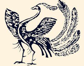 太阳鸟图腾图片