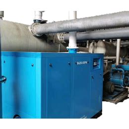 LC-XD-063-蓝星全自动真空泵/实验室和工业真空泵负压站LC-XD-063-温州蓝星机电设备有限公司