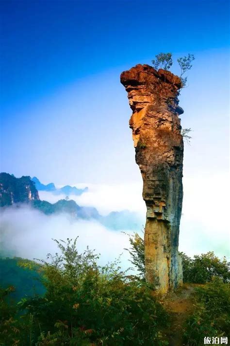 中国十大名山 中国最有名的山 中国名山排行榜！|名山|五台山|全国_新浪新闻