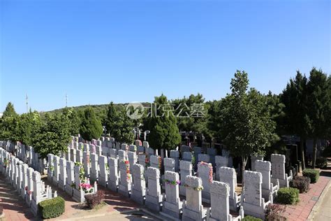 龙泉公墓环境-龙泉公墓视频照片-来选墓网