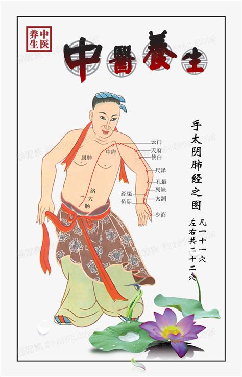 手太阴肺经经络图图片 手太阴肺经经络图图片