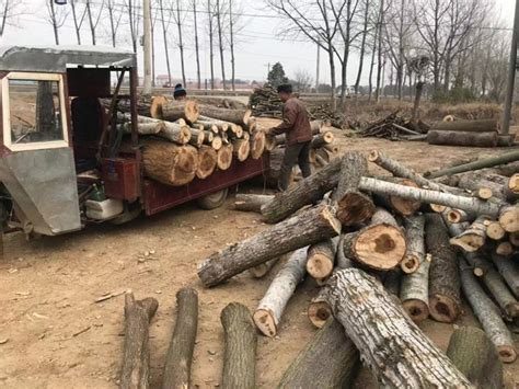 口岸库存不断增加 木材市场持续低迷 【批木网】 - 木业行业 - 批木网