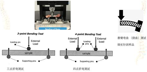biomomentum-四点弯曲折弯测试系统_弯曲挠曲穿刺测试-世联博研（北京）科技有限公司