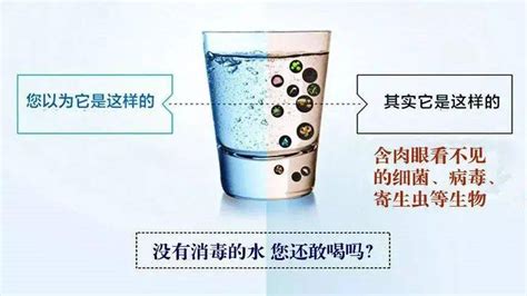 广东十大品牌水排名，广东矿泉水十大排名