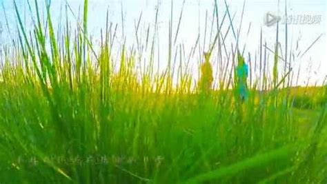 我要醉在草原上-经典草原歌曲_腾讯视频