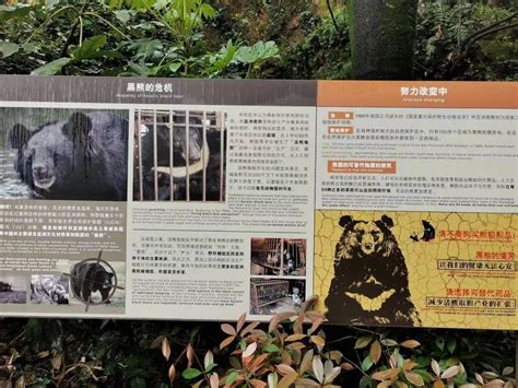 关注！南京红山动物园2800头动物被公众“牵挂”，网红园长焦虑不减，称动物园＂苟延残喘＂_江南时报