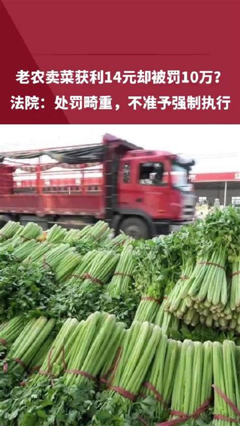 6月29日，河南洛阳老农卖菜挣21元被罚款11万元 法院：处罚过重……|强制执行_新浪新闻