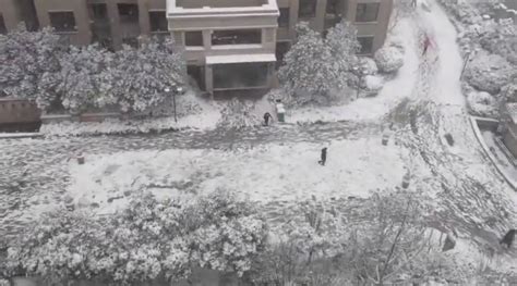 下雪了！北京延庆等地出现降雪 5区发布道路结冰黄色预警信号-图片频道