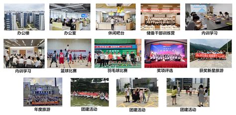 广州市领航食品有限公司 - 广州大学就业网