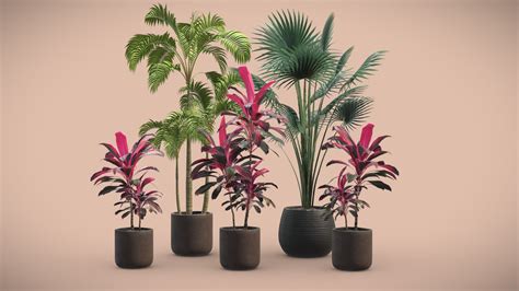 Indoor Plants Pack 12 - Buy Royalty Free 3D model by AllQuad [83f5b96 ...